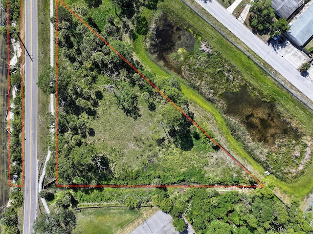 2918 Pineapple Ave N, Melbourne, FL 32935 - photo 10