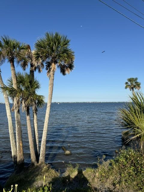 2918 Pineapple Ave N, Melbourne, FL 32935 - photo 29
