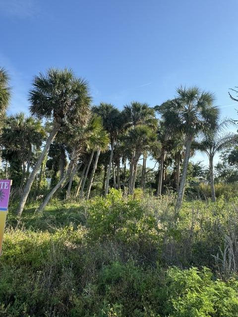 2918 Pineapple Ave N, Melbourne, FL 32935 - photo 31