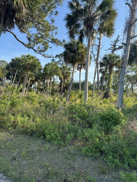 2918 Pineapple Ave N, Melbourne, FL 32935 - photo 33