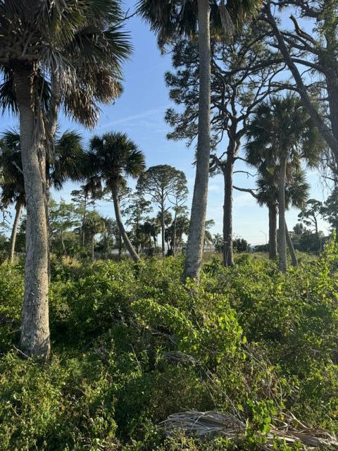 2918 Pineapple Ave N, Melbourne, FL 32935 - photo 35