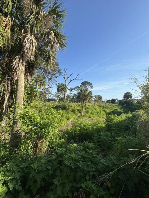 2918 Pineapple Ave N, Melbourne, FL 32935 - photo 38