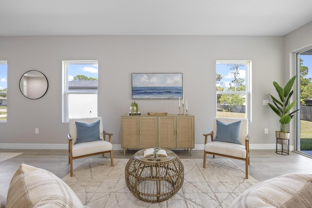 living area featuring light hardwood / wood-style flooring and a healthy amount of sunlight