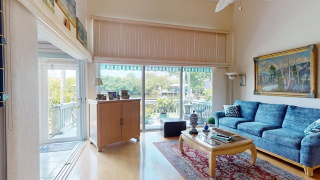 living room with light hardwood / wood-style floors and a towering ceiling