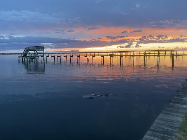 dock area with a water view