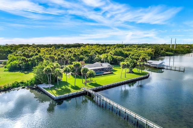 bird's eye view with a water view