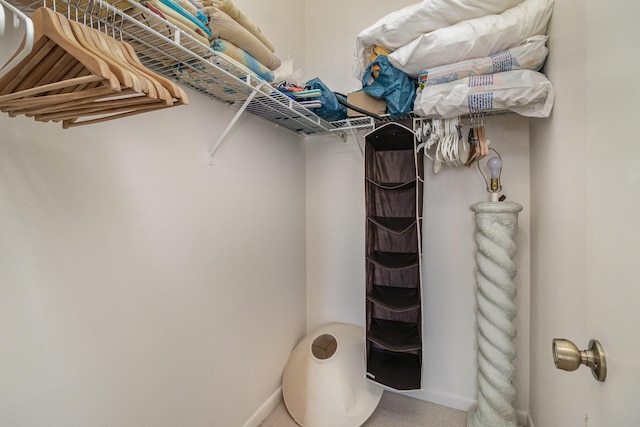 spacious closet with carpet