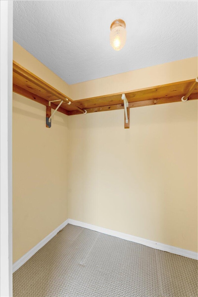 walk in closet with carpet flooring