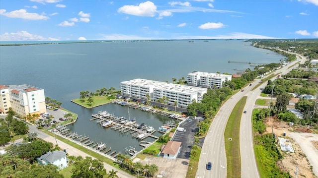 aerial view with a water view