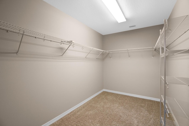 spacious closet featuring carpet