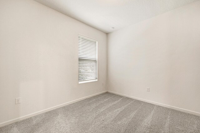 unfurnished room featuring carpet flooring