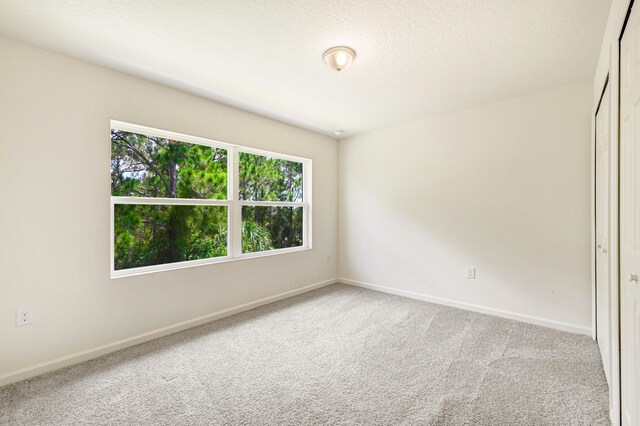 empty room with carpet and a textured ceiling