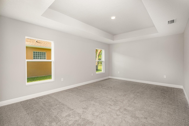 carpeted spare room featuring a raised ceiling