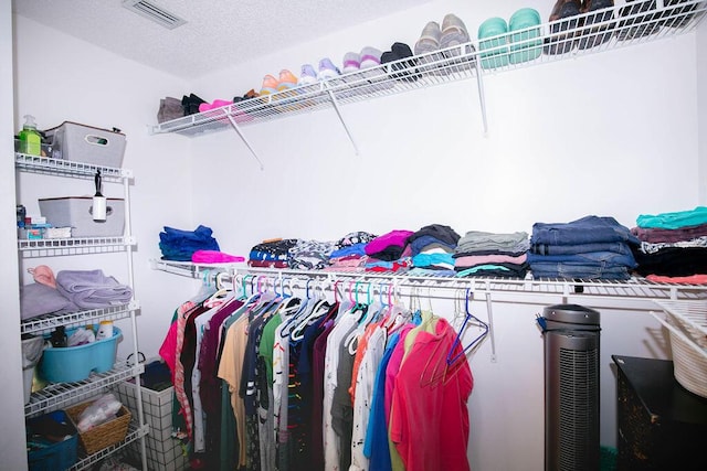 view of walk in closet