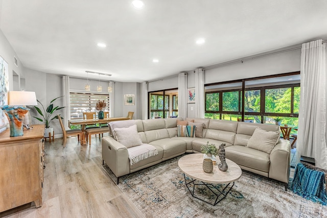 living room featuring light hardwood / wood-style flooring