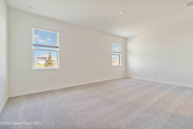 spare room with carpet floors and a wealth of natural light