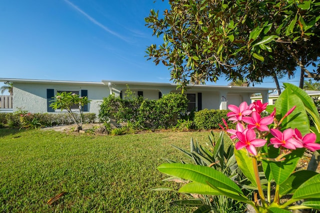 ranch-style home with a front yard