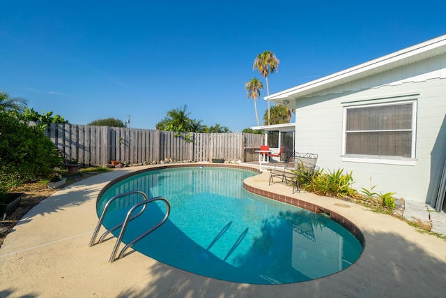 view of pool featuring a patio