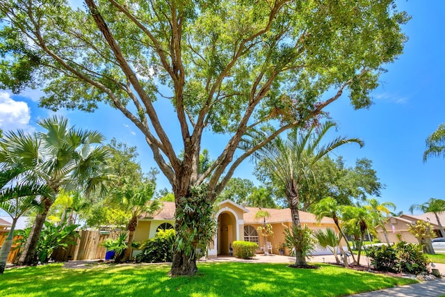 view of front of house with a front yard