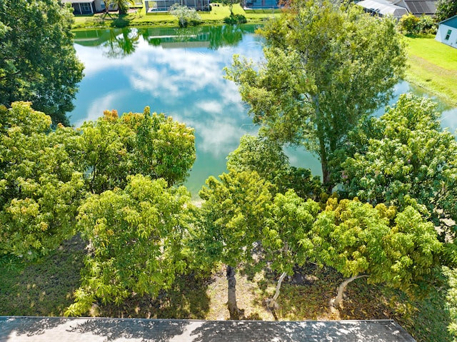 drone / aerial view with a water view