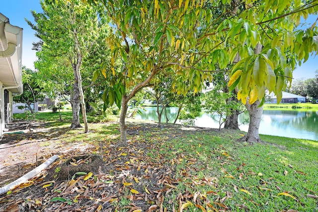 view of yard featuring a water view