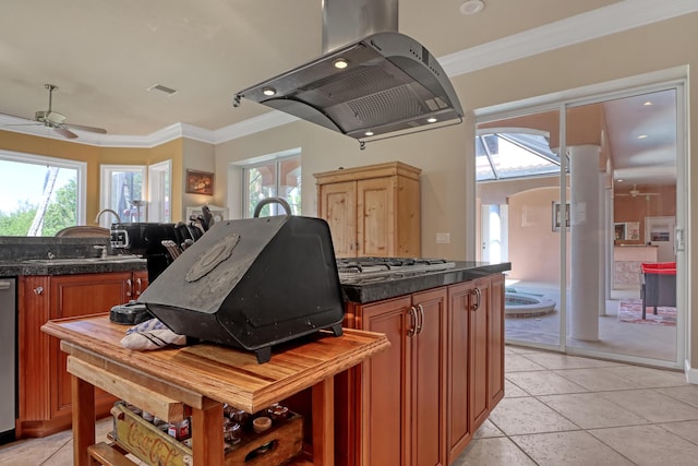 kitchen with island range hood, plenty of natural light, ceiling fan, and sink