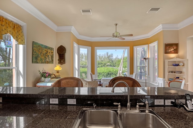 kitchen with ceiling fan, sink, and crown molding