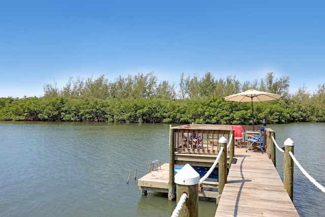 dock area with a water view