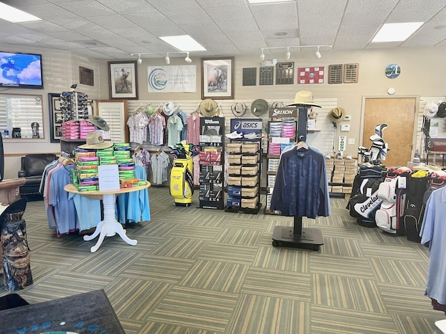 interior space featuring carpet and rail lighting