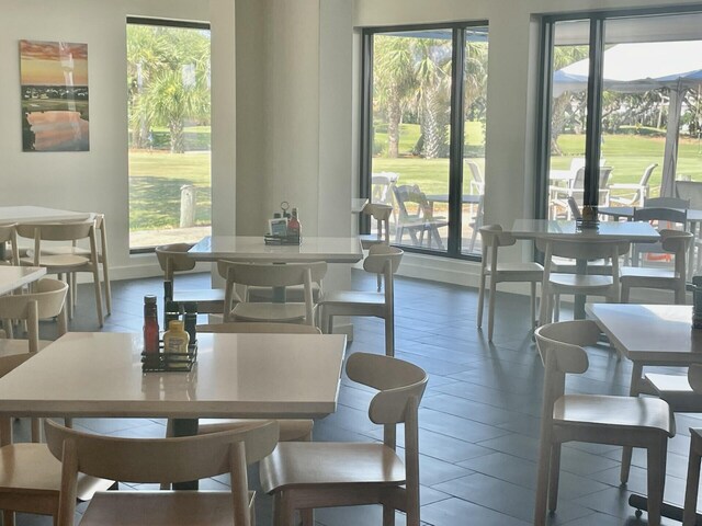 dining space with plenty of natural light