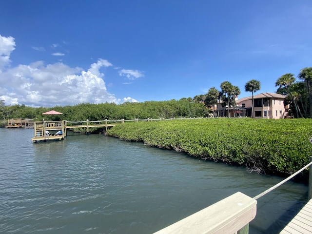 dock area featuring a water view