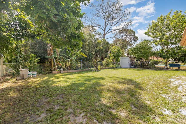 view of yard featuring a shed