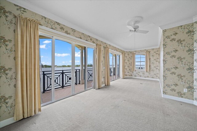 empty room with ornamental molding, ceiling fan, and carpet