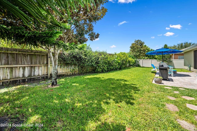 view of yard with a patio area