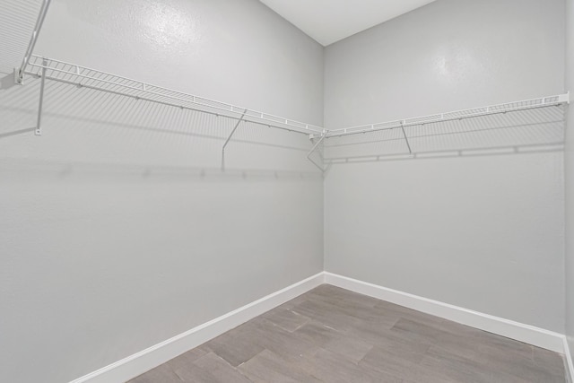 walk in closet featuring hardwood / wood-style floors