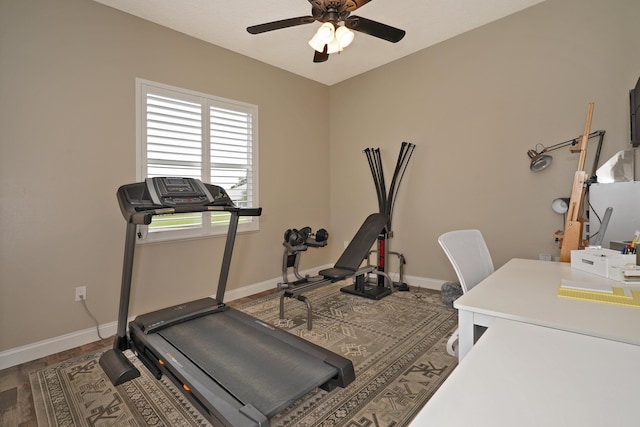 exercise room featuring hardwood / wood-style floors and ceiling fan