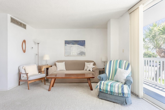 carpeted living room featuring a textured ceiling