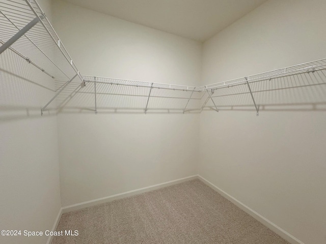 spacious closet featuring carpet flooring