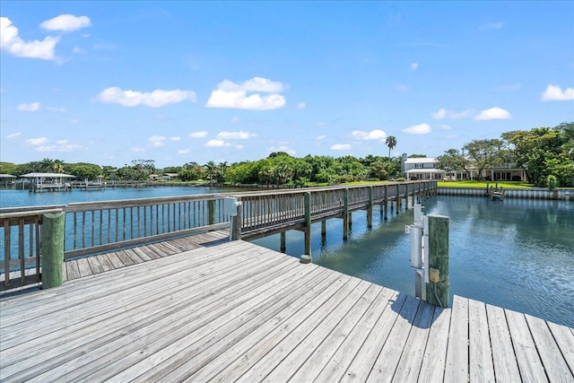 dock area with a water view