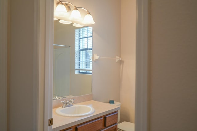 bathroom with toilet and vanity