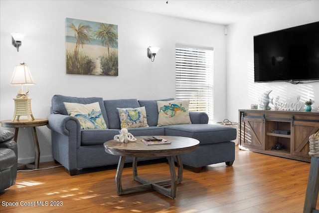 202 Monroe Ave, Cape Canaveral, FL 32920 - living room featuring hardwood / wood-style flooring