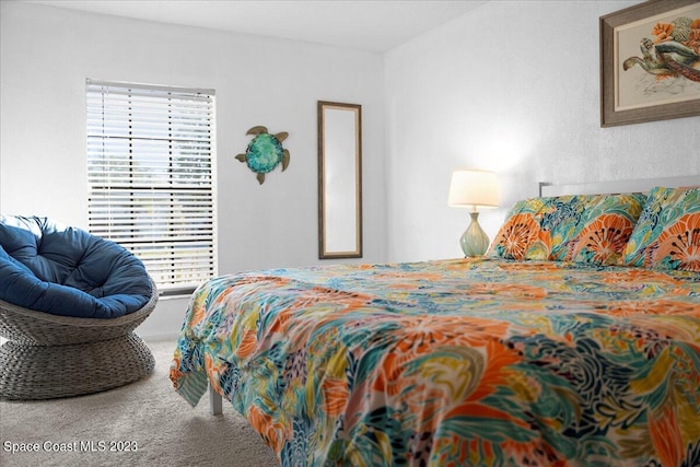 202 Monroe Ave, Cape Canaveral, FL 32920 - bedroom featuring carpet floors and multiple windows