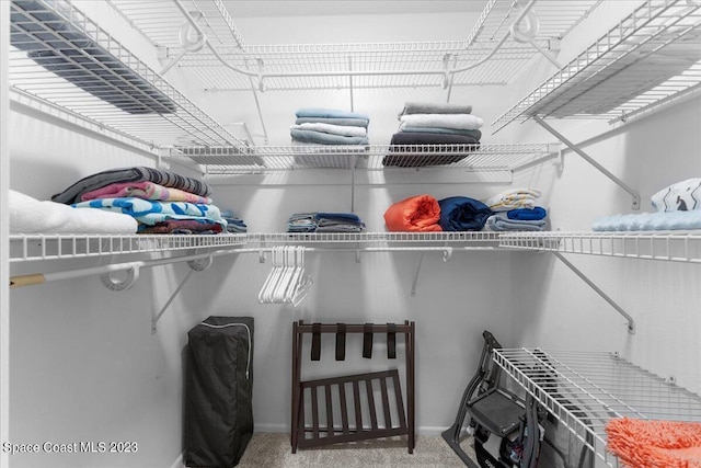 202 Monroe Ave, Cape Canaveral, FL 32920 - walk in closet with carpet floors