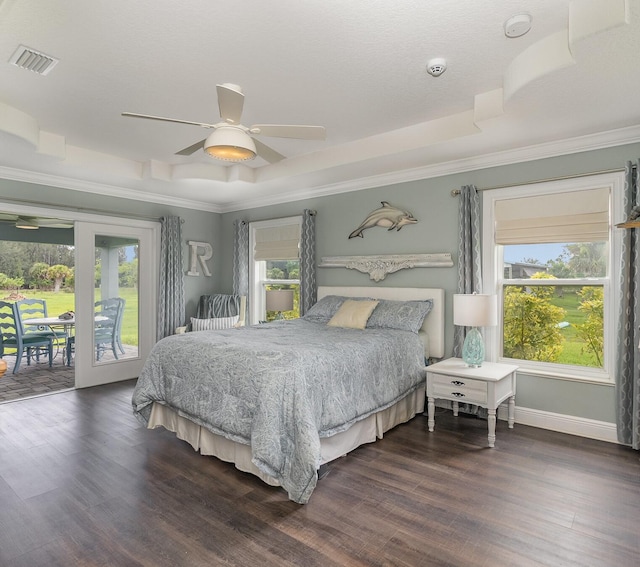 bedroom with a raised ceiling, multiple windows, and dark wood-type flooring