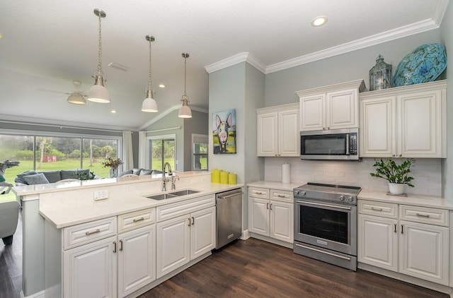 kitchen with dark hardwood / wood-style flooring, kitchen peninsula, crown molding, appliances with stainless steel finishes, and sink