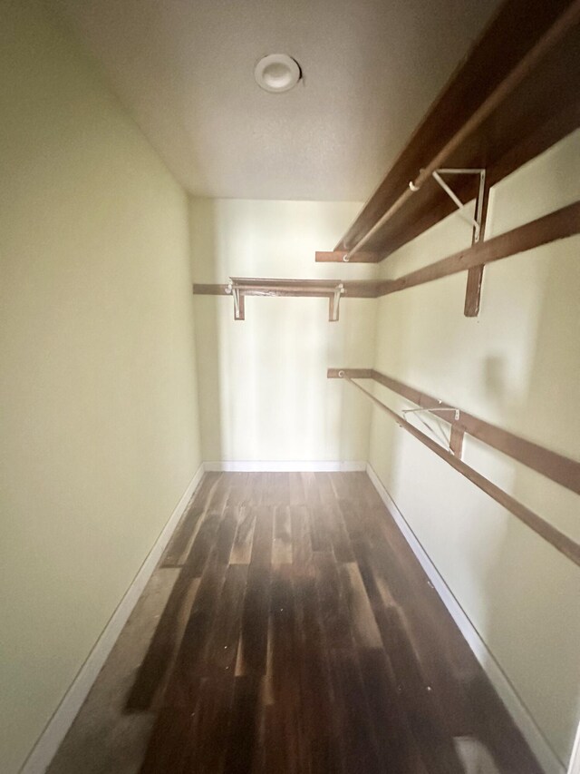 spacious closet featuring hardwood / wood-style floors