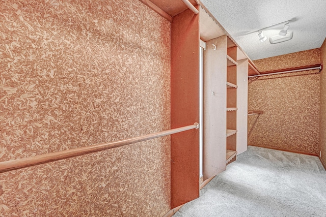 spacious closet with carpet