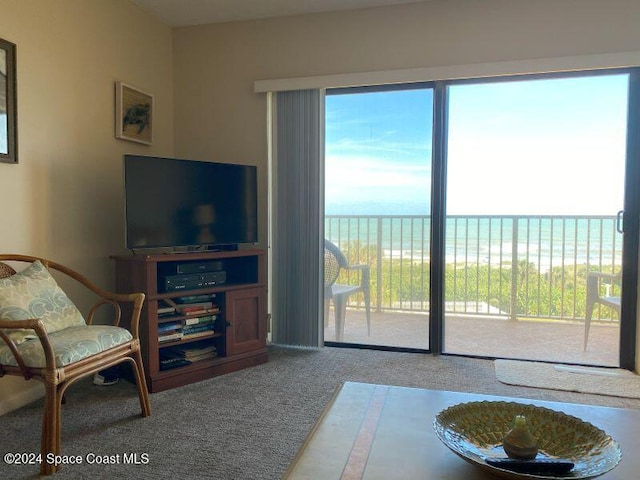 7520 Ridgewood Ave Unit 507, Cape Canaveral, FL 32920 - living room featuring carpet flooring