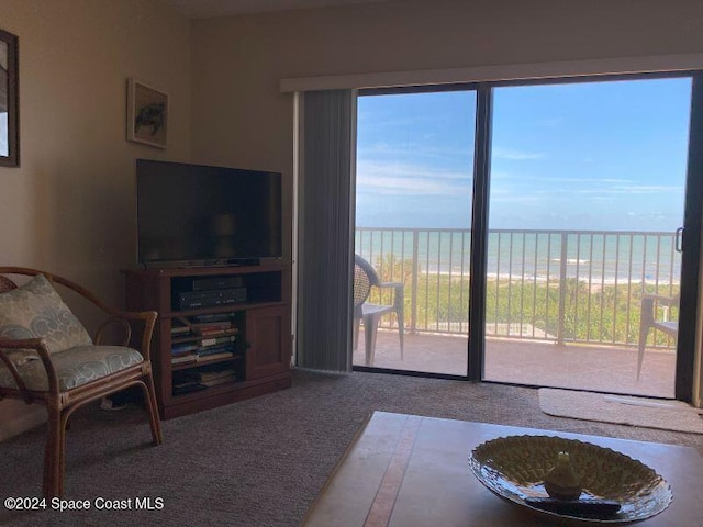 7520 Ridgewood Ave Unit 507, Cape Canaveral, FL 32920 - living area featuring carpet