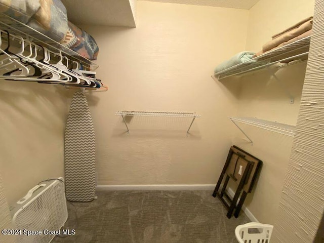 walk in closet featuring dark colored carpet